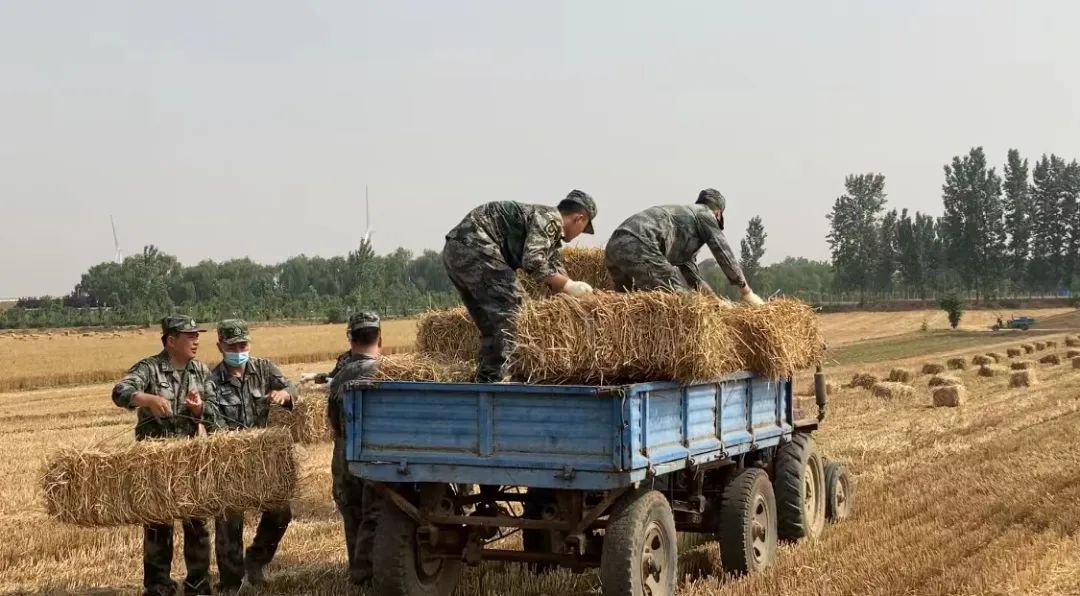 肖思远父母为啥偷偷收麦子?真相是……