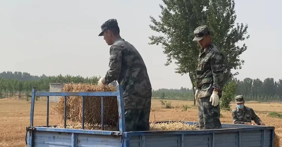 肖思远父母为啥偷偷收麦子?真相是……