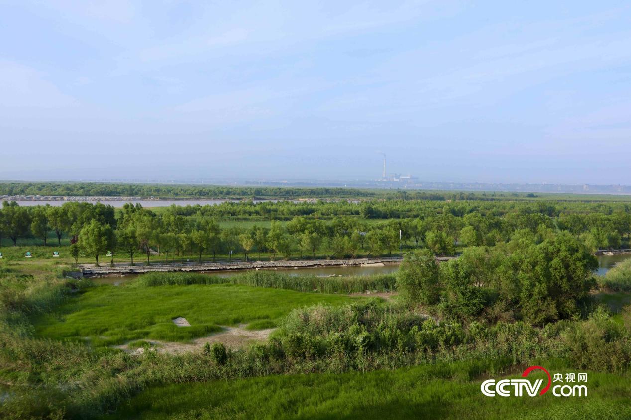 ������ʪ�ع�԰ ���������� ����Զ �㣩