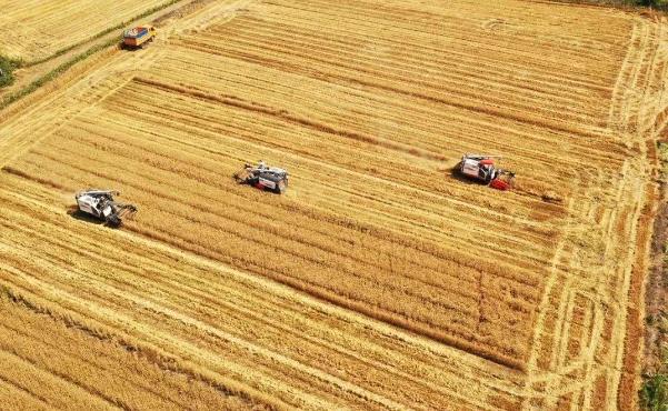 ��������������408.3��ĶС�����ո�