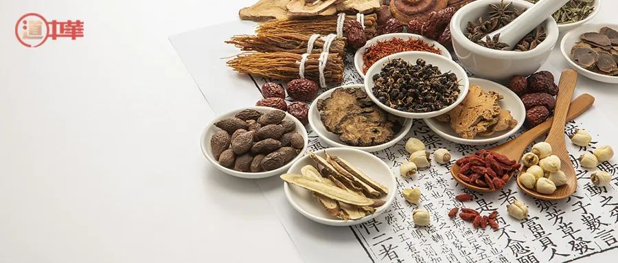 中医药为何应成为中华文化走出去的先锋?