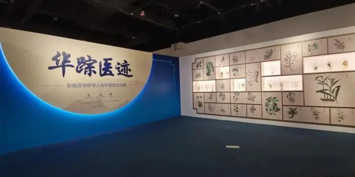 中医药为何应成为中华文化走出去的先锋?