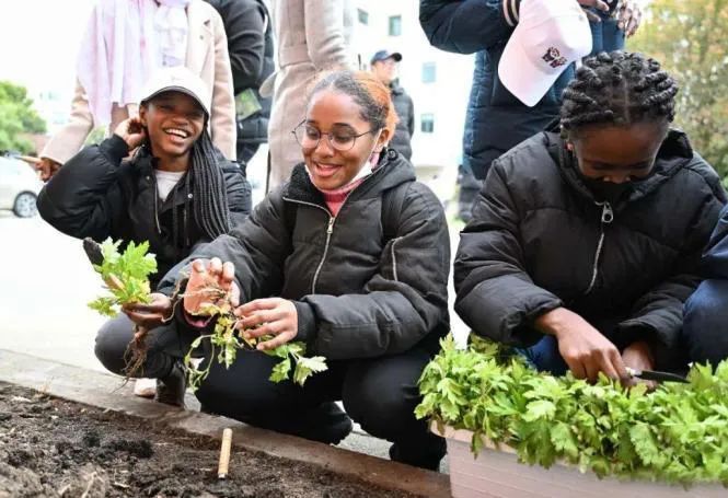 中医药为何应成为中华文化走出去的先锋?