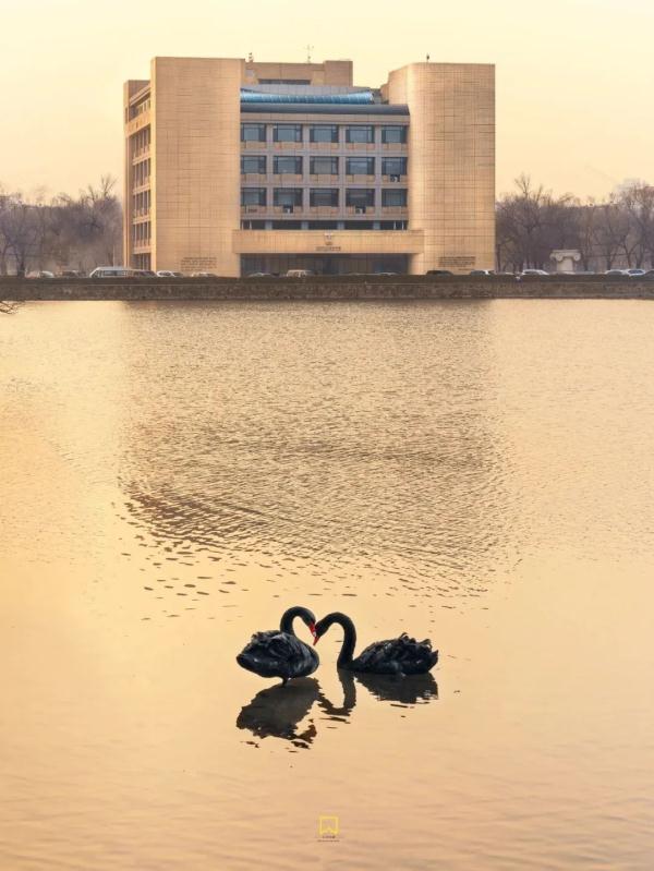 ���գ���У���������ġ�����Ϧ