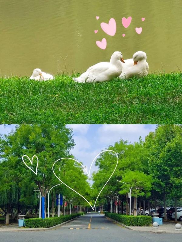 ���գ���У���������ġ�����Ϧ