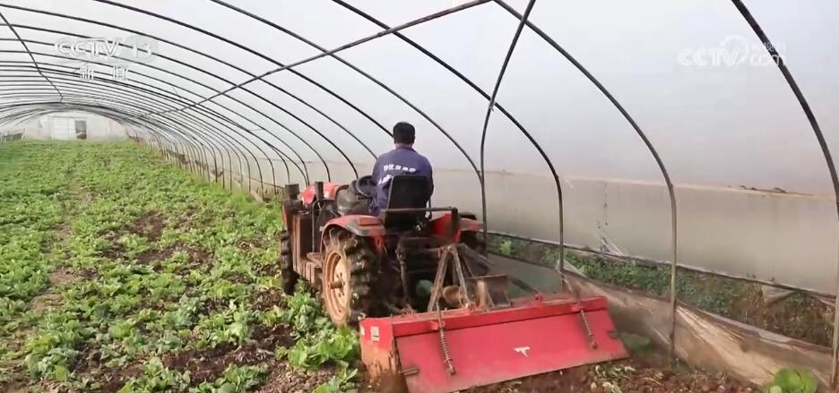 靜大大時尚服裝（靜靜服飾）