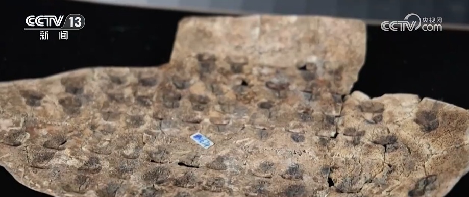 �Ļ��й��� | ��ͨ�Ž�Ի� ���֡�ƴ���׹Ǽ����л�������ʷ����