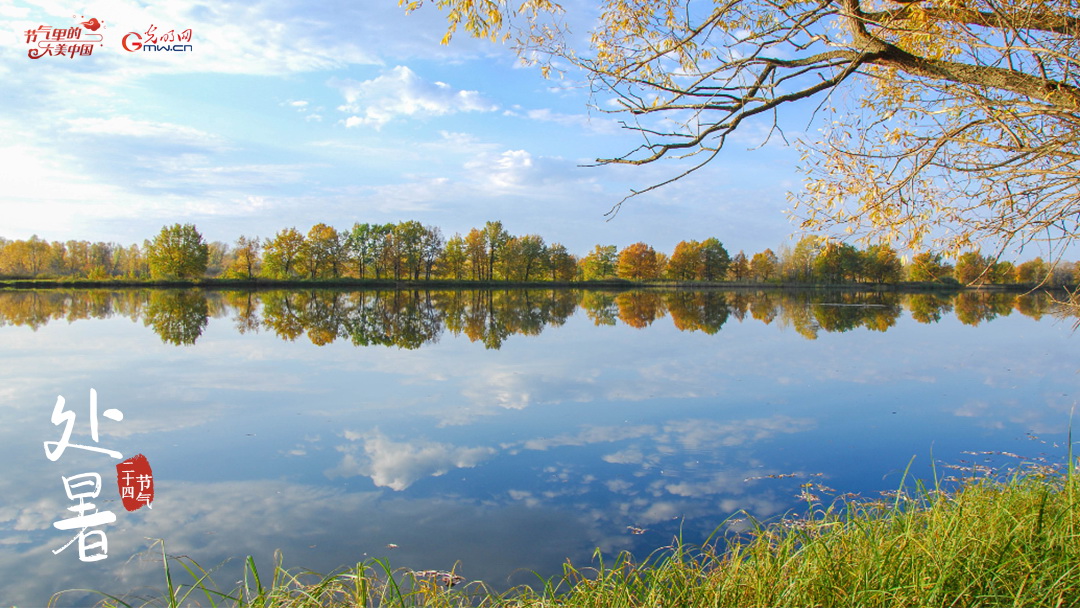 ���Դ������ح������������ݺ���