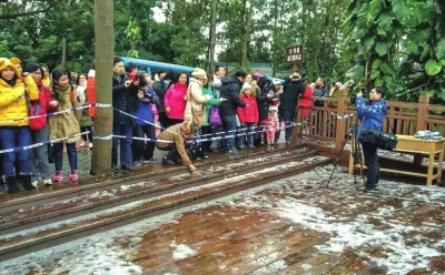 罕见寒潮致部分地区受灾 蔬菜喷防冻液仍被冻烂 罕见寒潮致部分地区受灾 蔬菜喷防冻液仍被冻烂