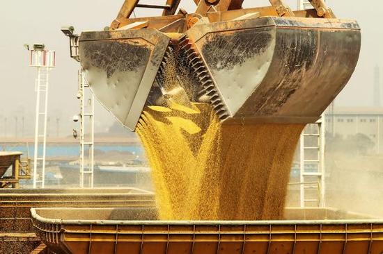 东北“严打”转基因 或已有非法转基因种子流入 东北“严打”转基因 或已有非法转基因种子流入