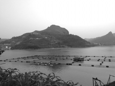 广西三县数千万库区移民款被外借疑遭非法挪用