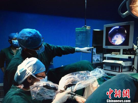 �㽭��ϣ��֮�⡱��ʵ�����˲��³�������ҽ���ջ�