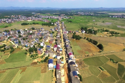 洪水退尽,但是水稻被泡,收成没有了。