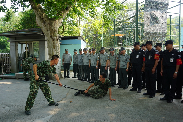 ���ݣ������ػ��ߴ���G20ά�Ȱ�������