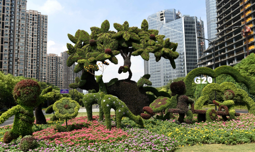 ���ݰ�����ͷӭG20���