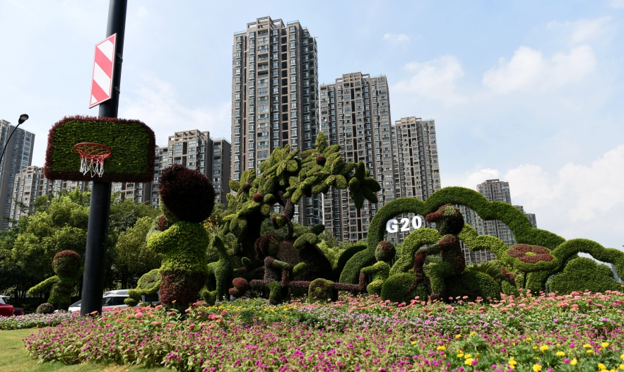 ���ݰ�����ͷӭG20���