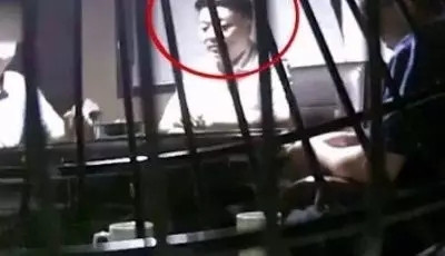 网片来源于网络