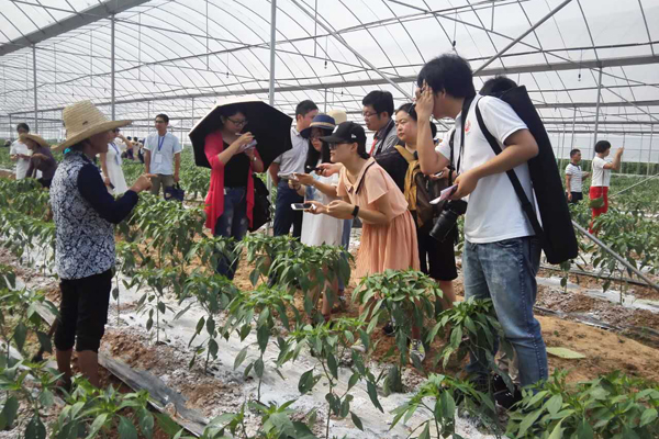 【网络媒体走转改】用脚采访 用笔还原 网媒们的“表情包”