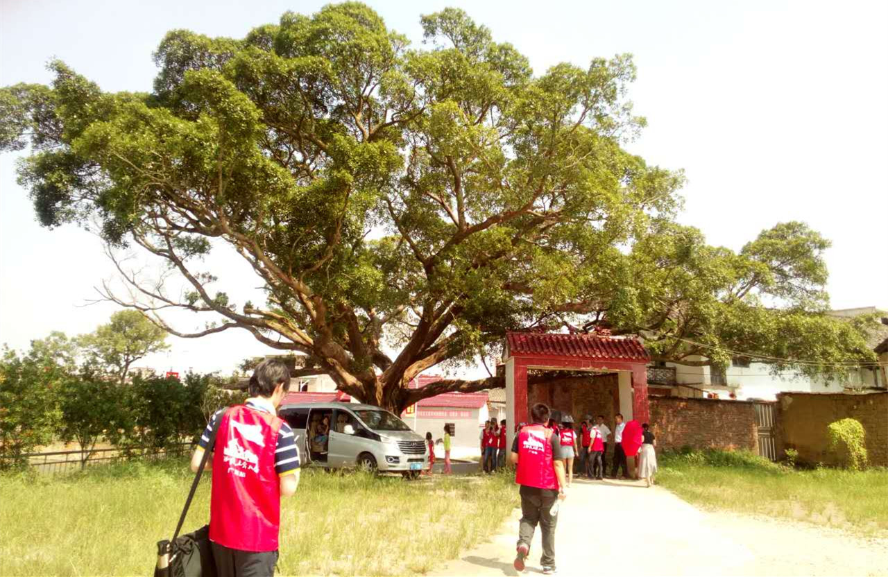 【网络媒体走转改】老榕树守护下的世外桃源——乌迳镇田心村 【网络媒体走转改】老榕树守护下的世外桃源——乌迳镇田心村