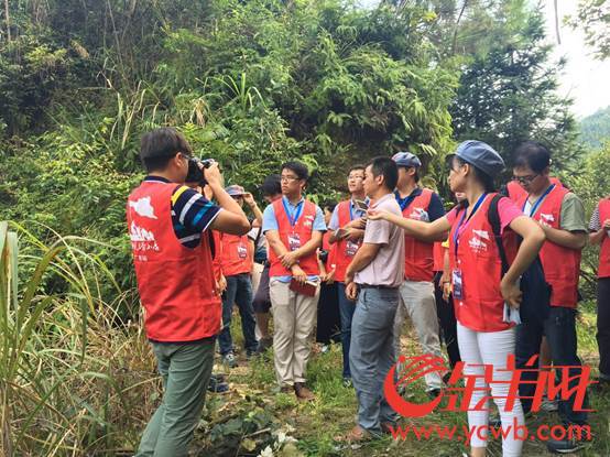 据介绍,目前整个恩村80%的村户都种上了皇帝柑,全村已有接近2000亩皇帝柑。