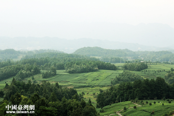 �����ڹ۹�̨�Ͽ�������̶����¡���ּ��԰