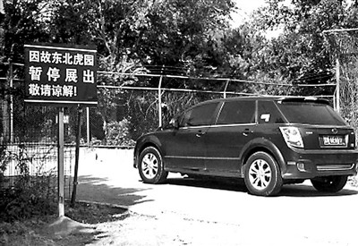 八达岭野生动物园猛兽区重开自驾游 路旁设电网 八达岭野生动物园猛兽区重开自驾游 路旁设电网