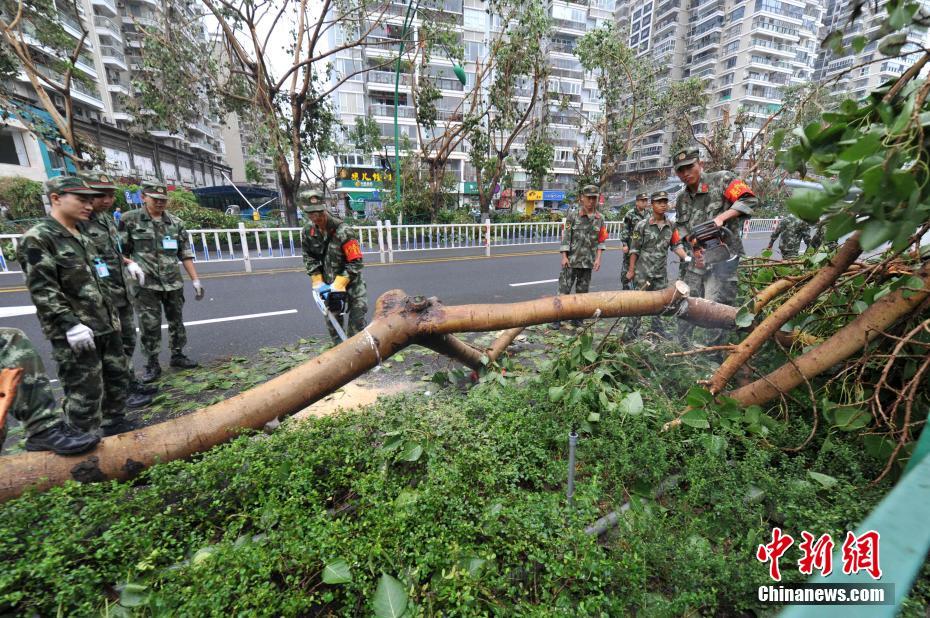 ̨�硰Ī���١���������35����� ���ӹٱ���������