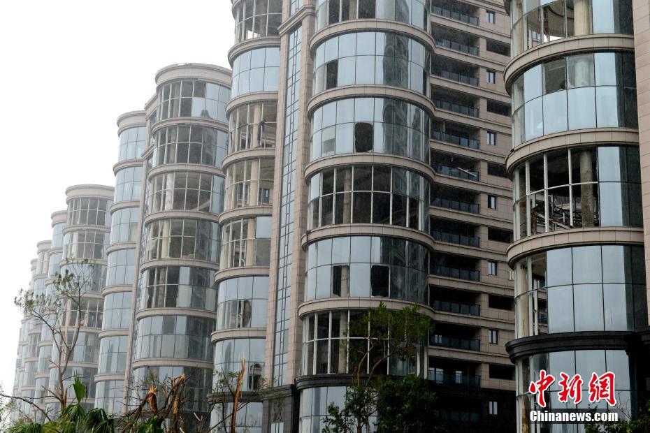 ̨�硰Ī���١���������35����� ���ӹٱ���������