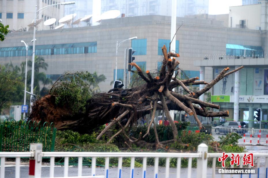 ̨�硰Ī���١���������35����� ���ӹٱ���������