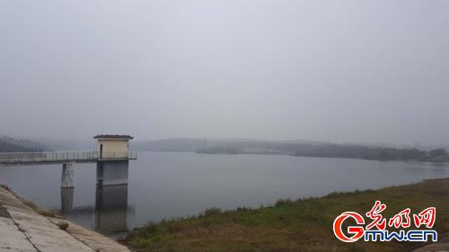 【网络媒体走转改】:最受欢迎的人