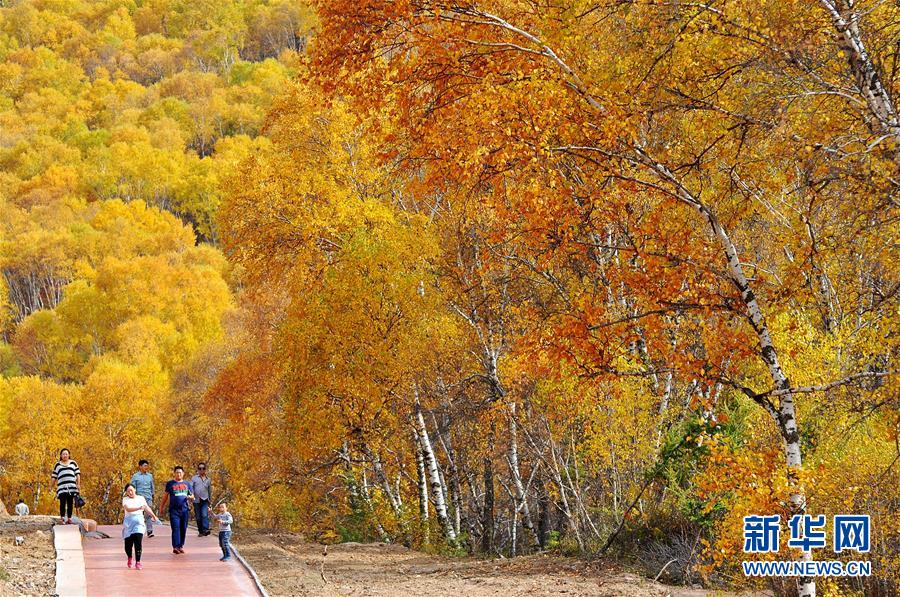 ����ʮ�� ��ɫ����