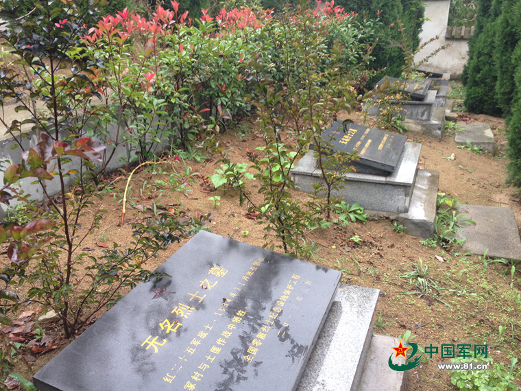 【网络媒体走转改】守陵老人:让红25军烈士“回家”! 【网络媒体走转改】守陵老人:让红25军烈士“回家”!