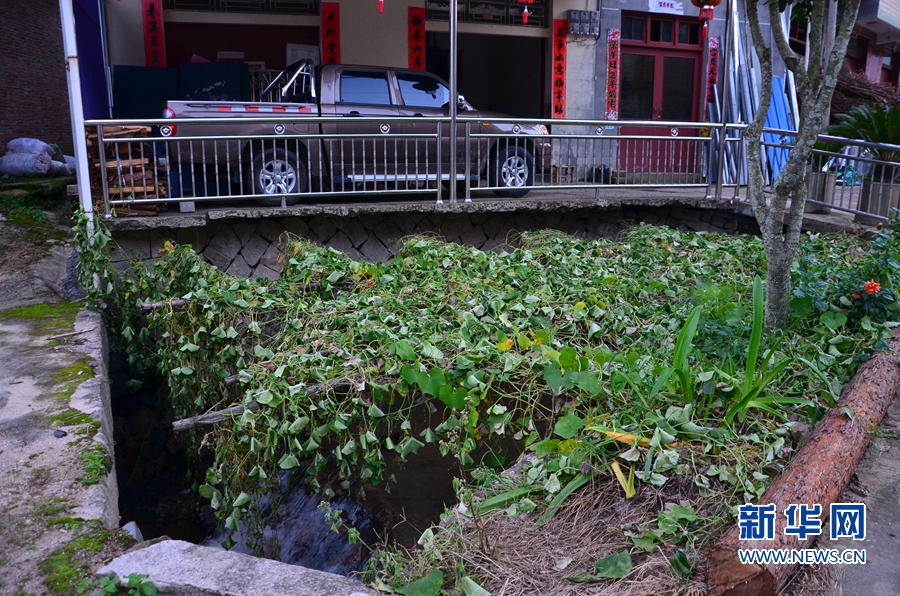 村支书台风天落水牺牲 曾暖了400多个村民的心 村支书台风天落水牺牲 曾暖了400多个村民的心