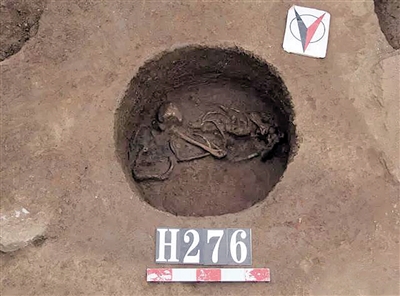 首座火烧痕迹大溪文化墓葬出土 墓主人蜷身而卧 首座火烧痕迹大溪文化墓葬出土 墓主人蜷身而卧