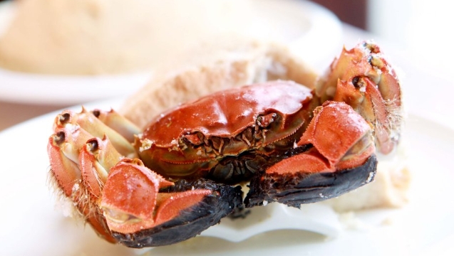 巧辨真假阳澄湖大闸蟹