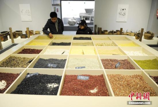 资料图:中国·吉林国际冰雪旅游产业博览会上,主办方特别推出的吉林农耕历史展馆人来人往。在6500平方米的展厅里,官方运用景观小品、雕塑、视频等表现手段,立体呈现了19世纪以来当地农耕文化的发展历程。中新社记者 张瑶 摄