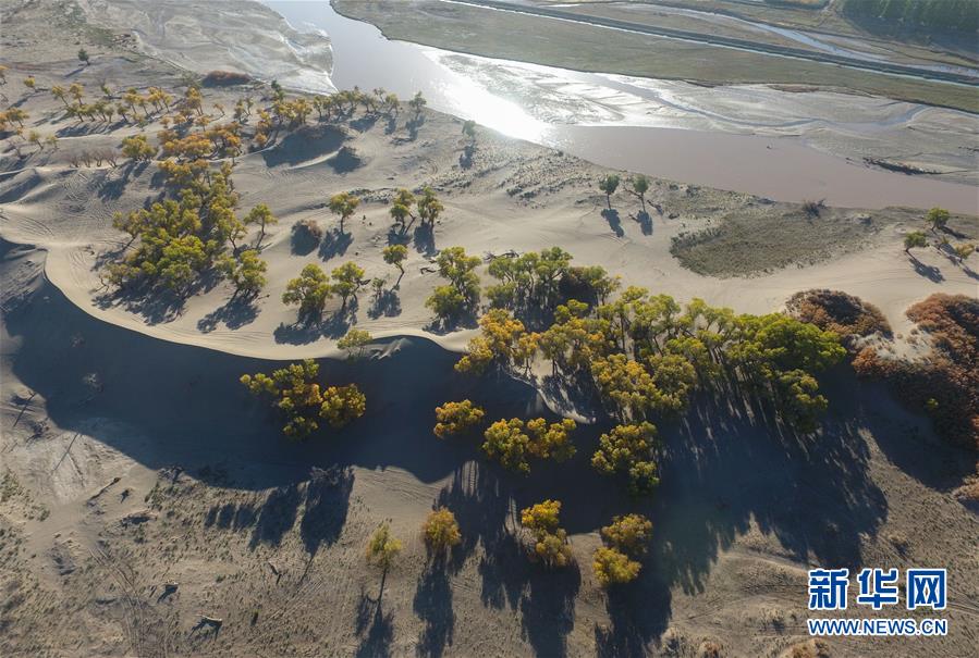 (�»�ȫýͷ������ɳ��ɳ��ͼ�Ļ���)(1)���Ӻ�������