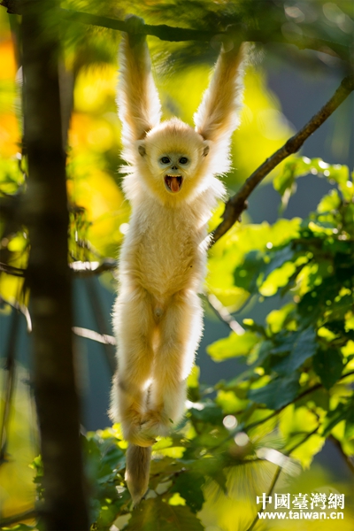 ��ͷ��Ĵ���