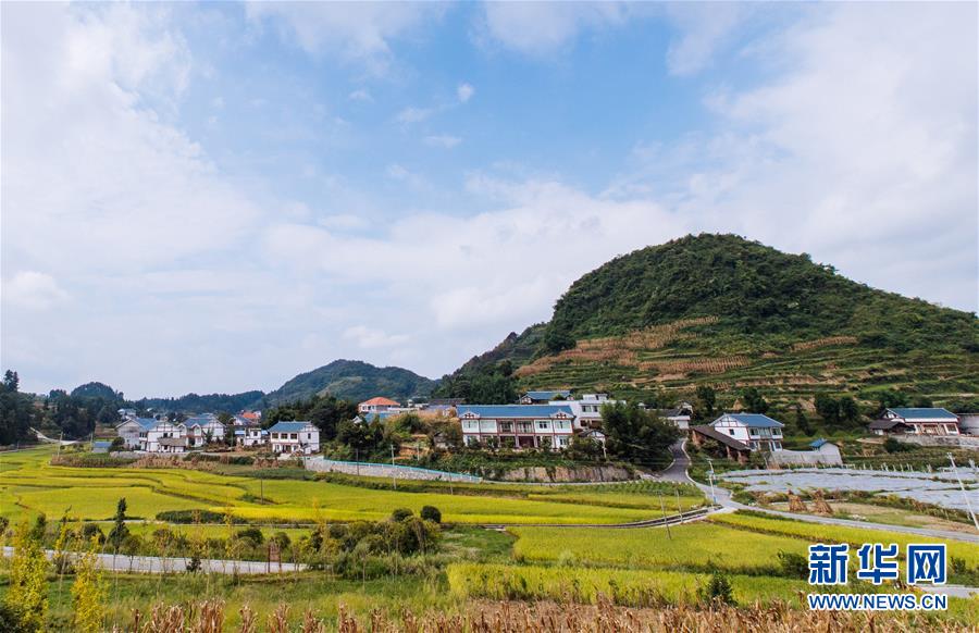 (»ȫýͷʮŴر𱨵ͼĻ)(2)Ϊȫ׷󡪡ӵʮŴ󿴵ʼղķܶĿ