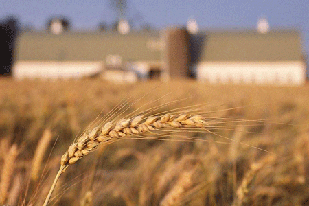 ԻʮŴʵСũִũҵչлν