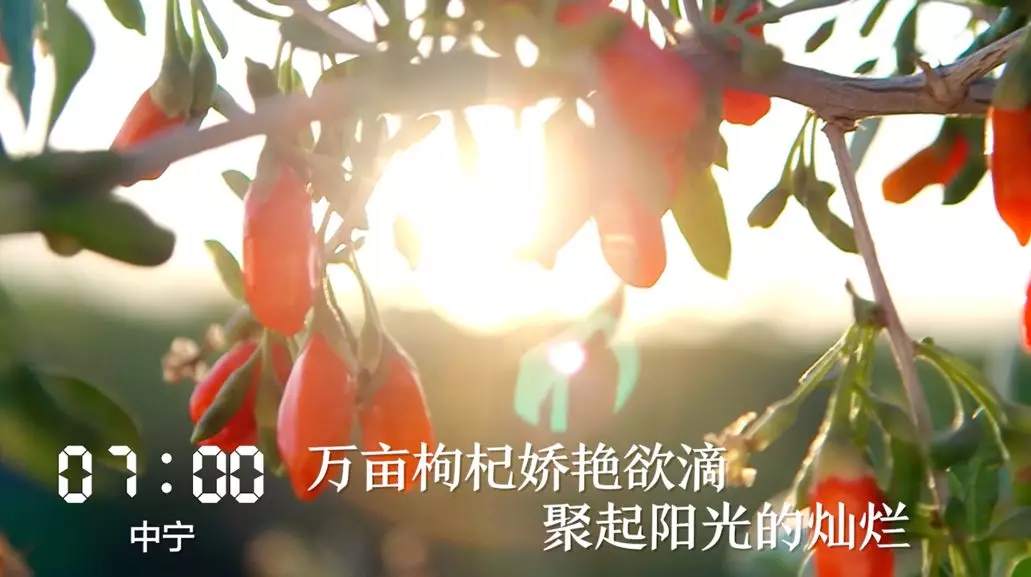 ΢ͼƬ_20190918064340.png?x-oss-process=style/w10