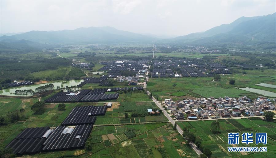 (在习近平新时代中国特色社会主义思想指引下——新时代新作为新篇章·总书记关心的百姓身边事·图文互动)(1)“科技秀才”给田野带来新希望