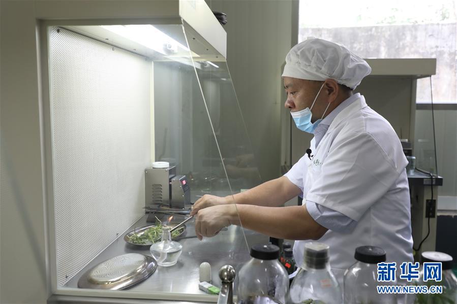 (在习近平新时代中国特色社会主义思想指引下——新时代新作为新篇章·总书记关心的百姓身边事·图文互动)(5)“科技秀才”给田野带来新希望