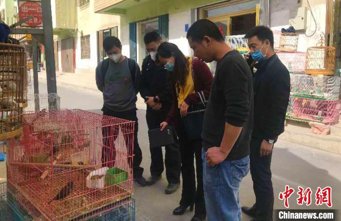 阿克苏地区查获3起涉嫌违法经营野生动物案。 潘志安 摄