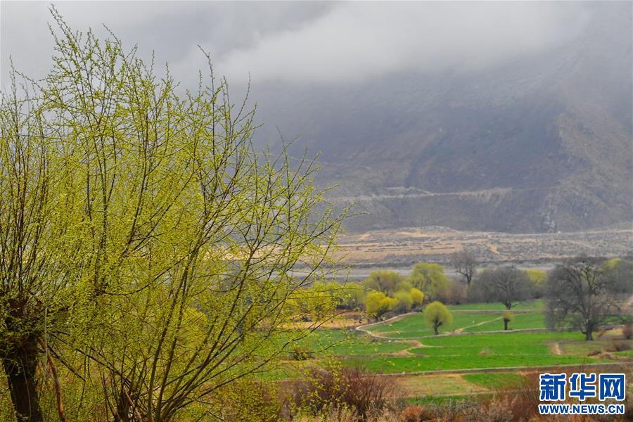 ��ͼ�Ļ�������2���������������������ε������𡱡���д�����ذ���ũū���61����֮��