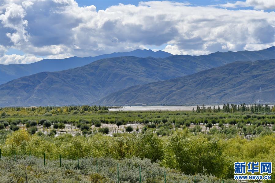 ��ͼ�Ļ�������4���������������������ε������𡱡���д�����ذ���ũū���61����֮��