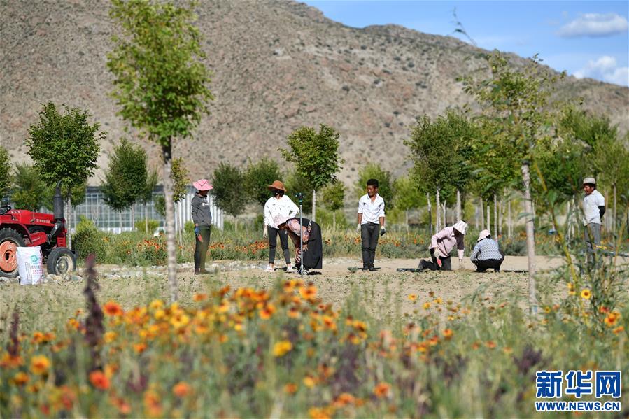 ��ͼ�Ļ�������5���������������������ε������𡱡���д�����ذ���ũū���61����֮��