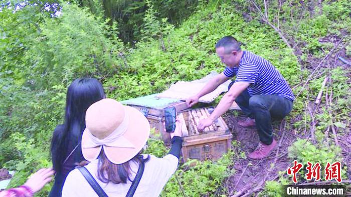 �������ݣ�ƶ������������¸��ۡ�