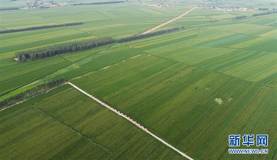 (在习近平新时代中国特色社会主义思想指引下——新时代新作为新篇章·习近平总书记关切事·图文互动)(2)为黑土加“油”——“耕地中的大熊猫”,我们这样保护