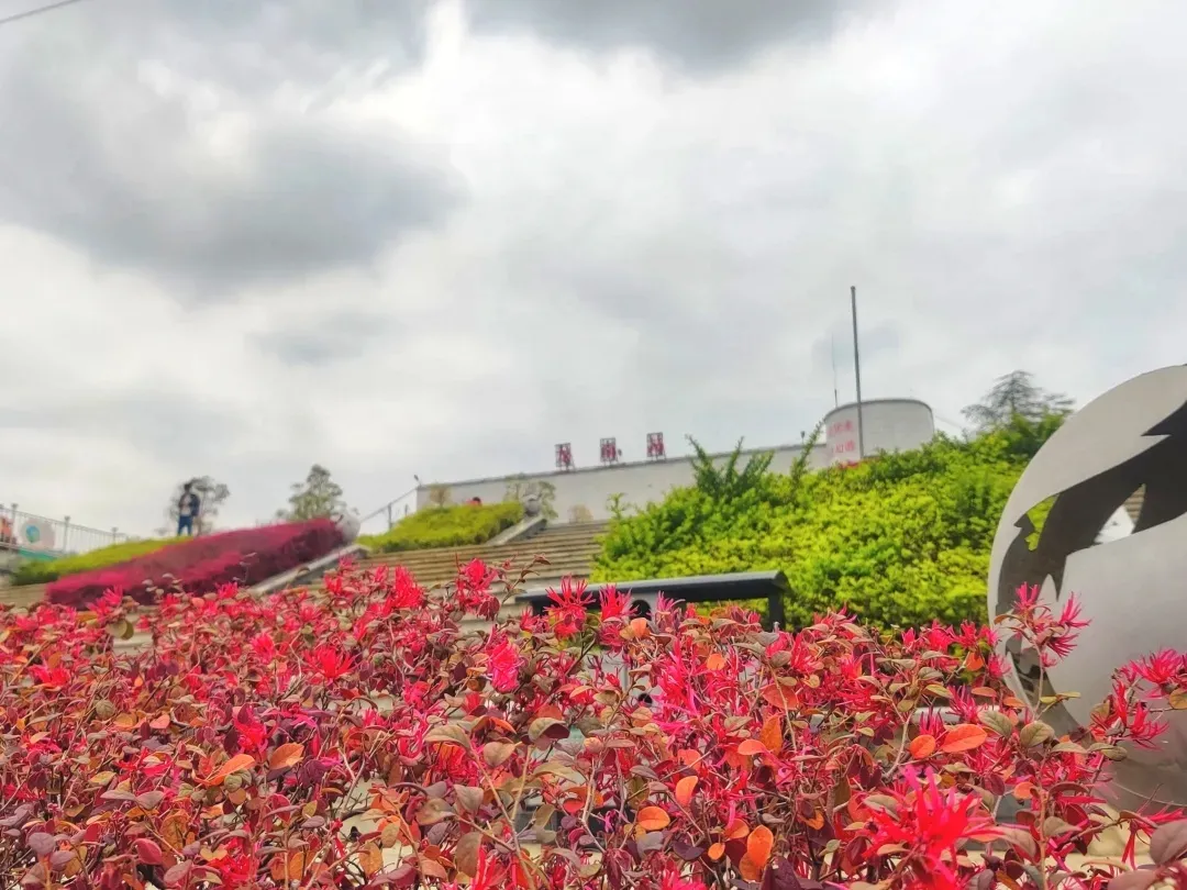 探秘铁路“超级工程”!“发现最美铁路”明日出发!